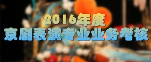 操逼视频网网址国家京剧院2016年度京剧表演专业业务考...